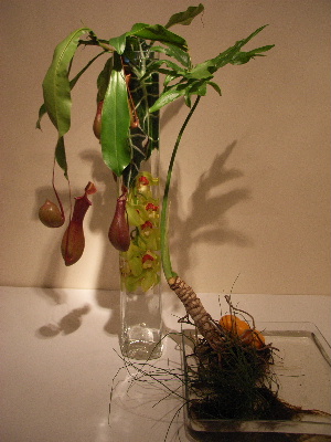 ikebana8