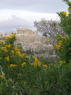 parthenon1