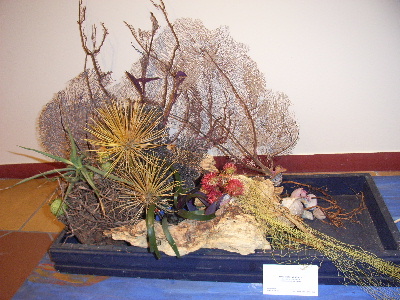 ikebana9