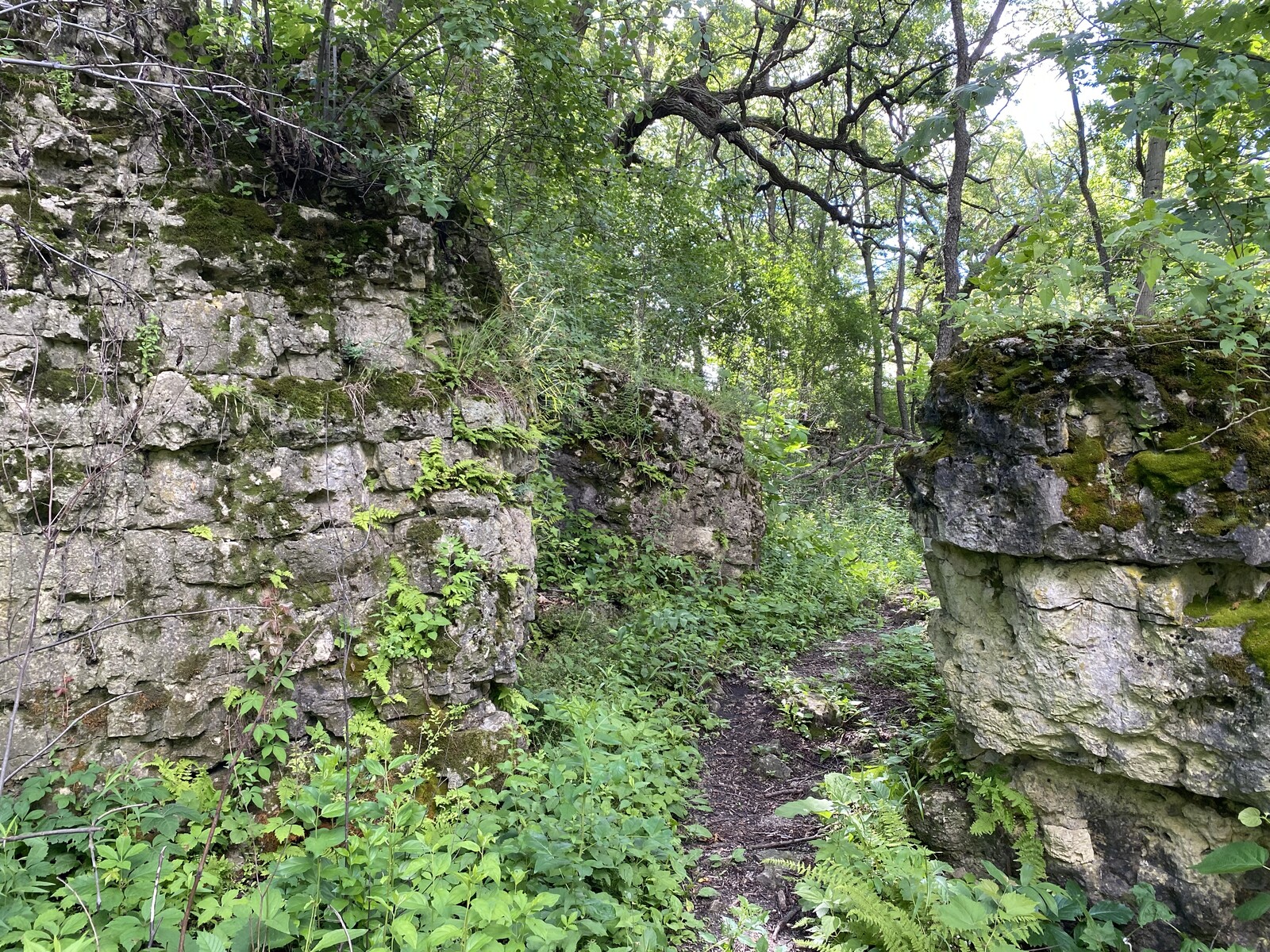 Brady's Rock : Patty's Placeのほほん日記