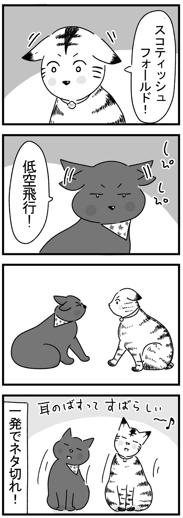 伏せ耳一発芸