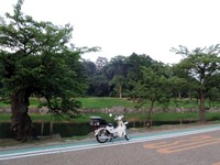 DSCN8784-1
