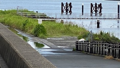 IMG_1974