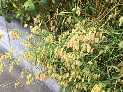 05IMG_9892