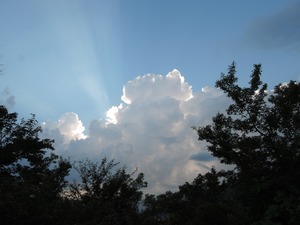 DSCN8885-1