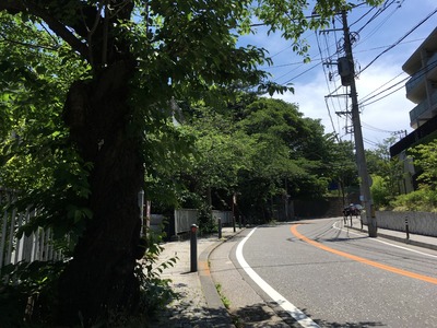 06IMG_0857