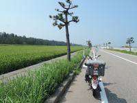 DSCN8733-1