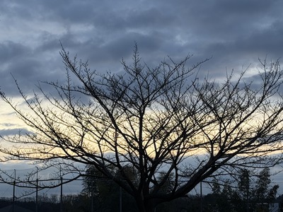 ２５／０３／１０ぎんざ磯むら 横浜関内店　０２