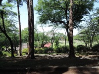 DSCN7266