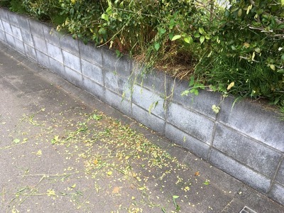 07IMG_9896