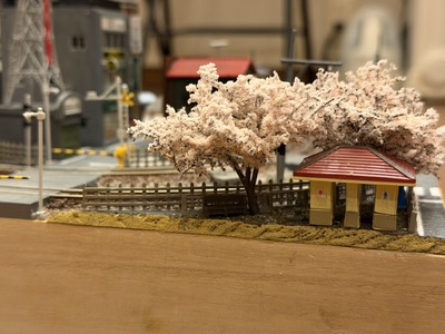 39IMG_8108