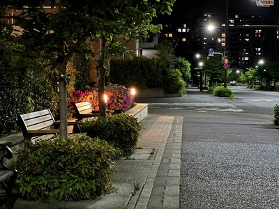 01IMG_0387