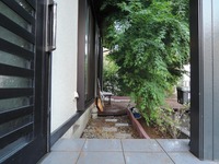 DSCN7499-1