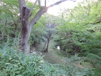 DSCN8881-1