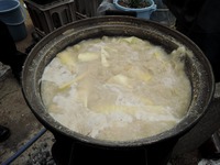 DSCN6788
