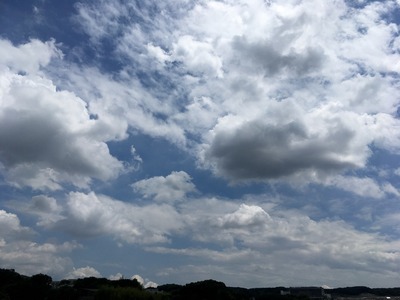 17/06/01高倉町珈琲みなみ野店02