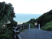 DSCN3203-1