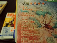 DSCN5330