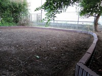 DSCN7507-1