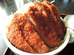 DSCN8861-1