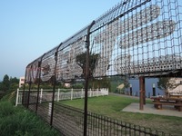 DSCN8657-1
