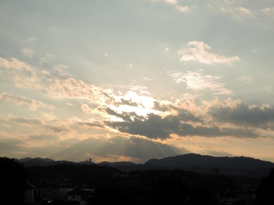 30IMG_5995