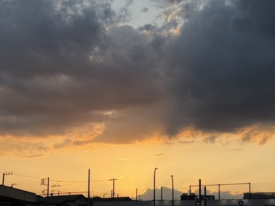 IMG_9493