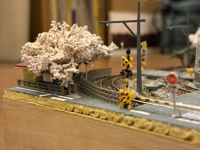 38IMG_8104