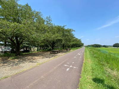 IMG_4599