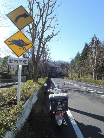05IMG_4795