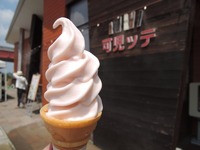 DSCN8834-1