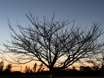 ２６／０２／２０ラーメン二郎中山駅前店　０２