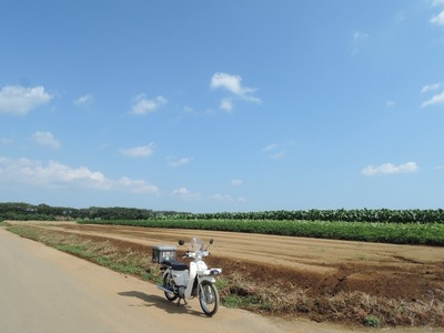 DSCN1081-1