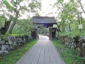 DSCN8883-1