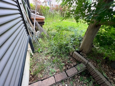 07IMG_3577