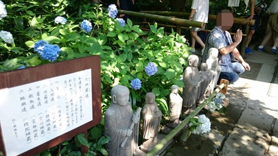 50IMG_2294