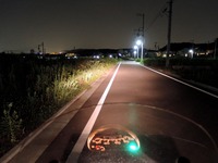 DSCN7865