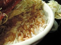 DSCN8865-1