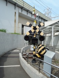 DSCN6455