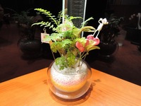 しょうゆのおがわや北野店 店内2