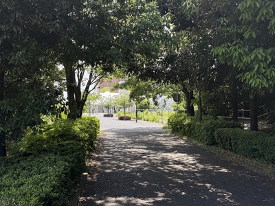 ２６／０５／１９すき家みなみ野店　１２