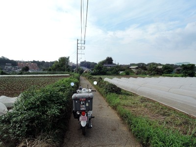 DSCN1088-1