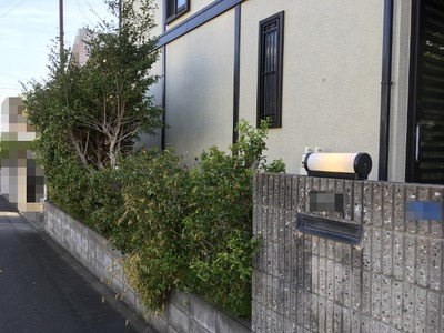 03IMG_9886-1