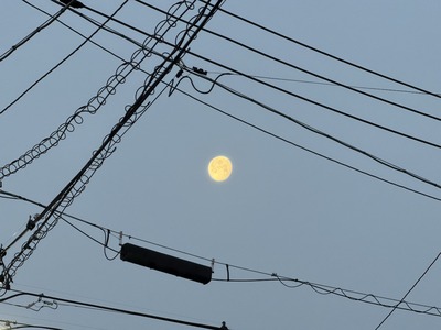 ２６／０３／０７ラーメン豚山　０２