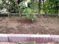 DSCN7823-1