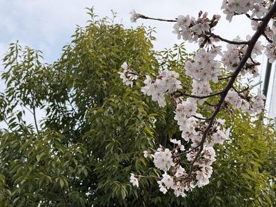 ０３IMG_7796