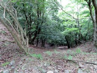 DSCN2996-1
