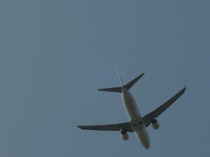 DSCN8731-1