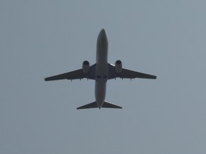 DSCN8730-1