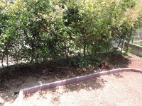 DSCN7597-1